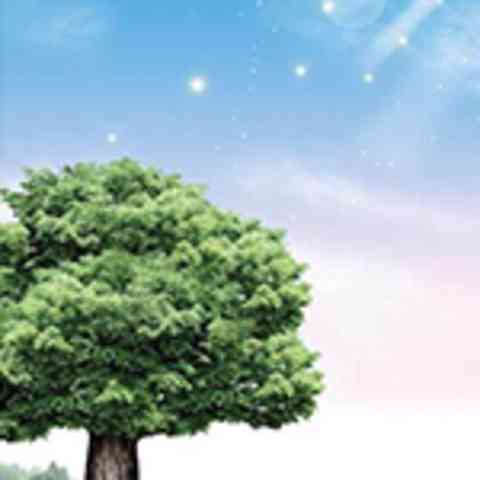 威海家居装修(靓家居装修公司可靠吗)